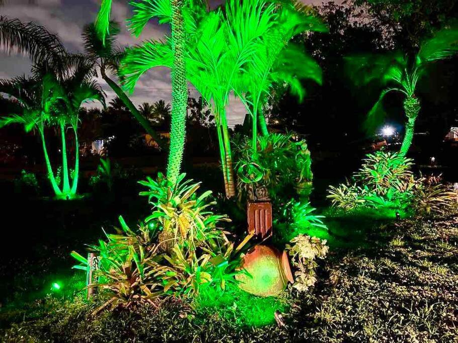 Jungle To Beach 4 R 3 Bedroom Family And Pet Heated Pool N Airport N Beach N Hard Rock Fort Lauderdale Exterior foto